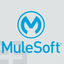 Mulesoft 1